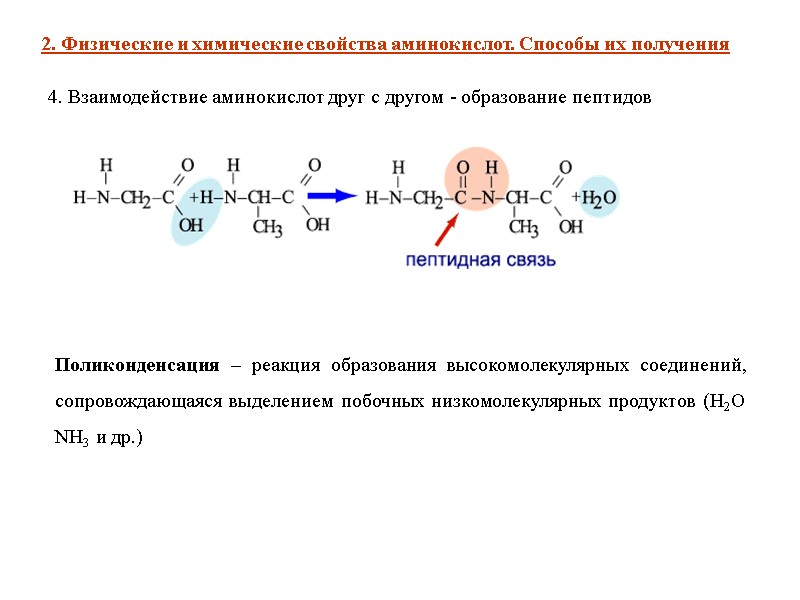4. Взаимодействие аминокислот друг с другом - образование пептидов  2. Физические и химические